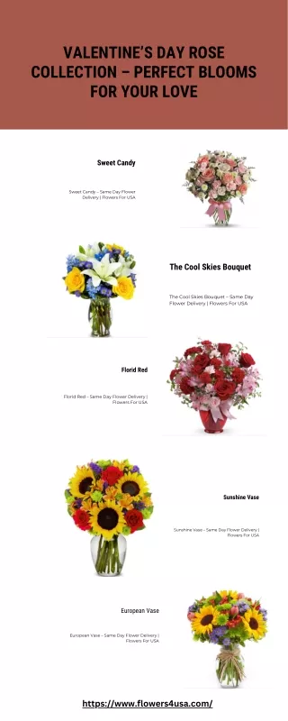 Valentine’s Day Rose Collection – Perfect Blooms for Your Love