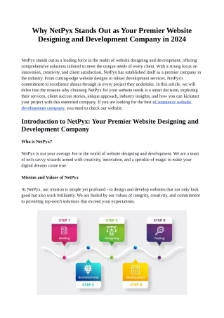 Why NetPyx Stands Out as Your Premier Website Designing and Development Company in 2024