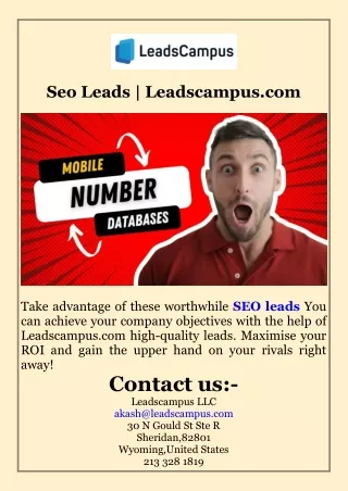 Seo Leads  Leadscampus.com