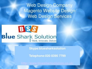 Web Design Company: best way to optimize your website