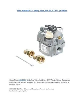 Pitco 60203001-CL Safety Valve,Nat,24V,1.2"FPT | PartsFe