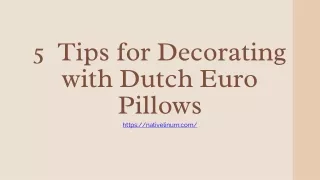 5 Tips for Decorating with Dutch Euro Pillows