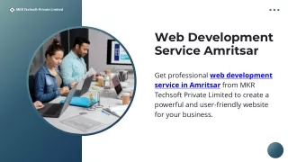 Web Development Service Amritsar