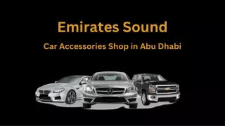 Emirates Sound- Car Headrest DVD Player