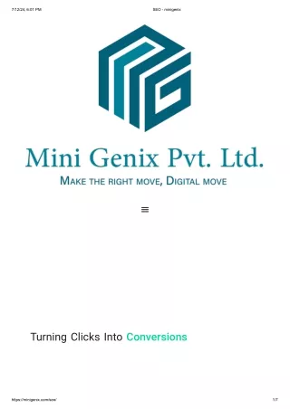 SEO - minigenix