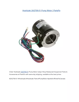 Hoshizaki 2A2758-01 Pump Motor | PartsFe