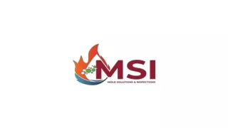 MSI offers professional Fire and Smoke Damage Restoration Services