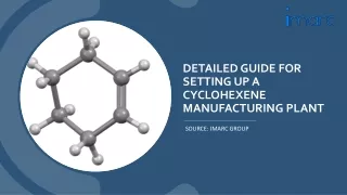 Cyclohexene Manufacturing Plant Project Report