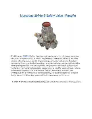 Montague 29766-6 Safety Valve _ PartsFe