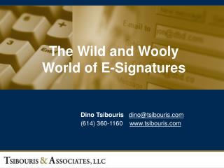 The Wild and Wooly World of E-Signatures