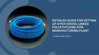 Setting Up a PEX Pipe Manufacturing Unit PDF