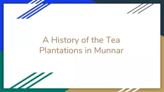 A History of the Tea Plantations in Munnar