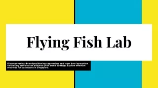 Flying Fish Lab - Exploring Different Brand Positioning Approaches