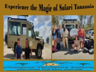 Experience the Magic of Safari Tanzania