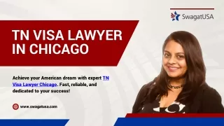 TN Visa Assistance for Your Immigration Needs!