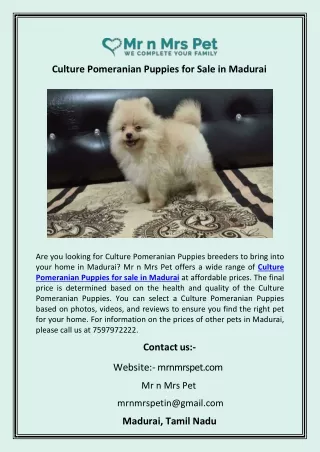 Culture Pomeranian Puppies for Sale in Madurai