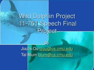 Wild Dolphin Project 11-751 Speech Final Project
