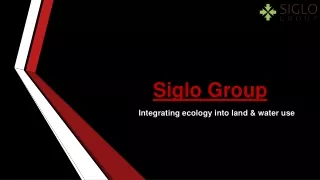 Siglo Group: Leading Ecological Architects in Austin for Sustainable Design Solu