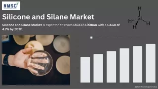 Silicone and Silane Market: Trends, Growth, and Future Outlook