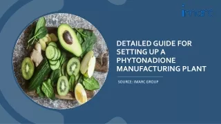 Phytonadione Manufacturing Plant Project Report: PDF