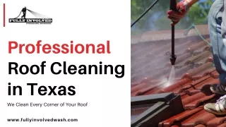 Professional Roof Cleaning in Texas | Fully Involved Pressure Washing, LLC