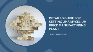 Report on a Mycelium Brick Manufacturing Plant PDF