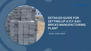 Fly Ash Bricks Manufacturing Plant Project Report