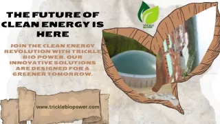 Secure a Sustainable Future with Clean Energy