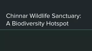 Chinnar Wildlife Sanctuary: A Biodiversity Hotspot