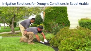 Irrigation Solutions for Drought Conditions in Saudi Arabia