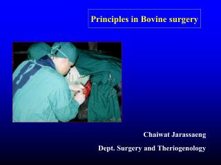 Principles in Bovine surgery