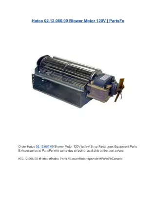 Hatco 02.12.066.00 Blower Motor 120V | PartsFe