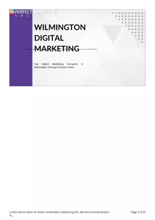 Local Digital Marketing Company in Wilmington
