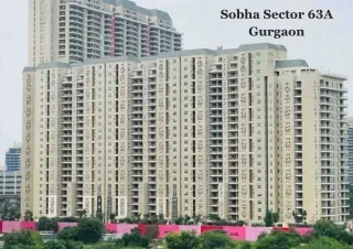 Sobha Sector 63a Gurgaon - PDF (1)