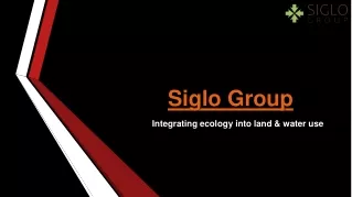 Siglo Group: Leading Ecological Architects in Austin for Sustainable Design Solu