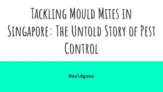 Mouldgone - Tackling Mould Mites in Singapore: The Untold Story of Pest Control