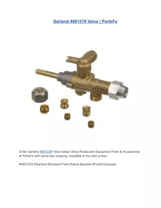 Garland 4601578 Valve | PartsFe