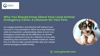 Why You Should Know About Your Local Animal Emergency Clinic A Lifesaver for Your Pets