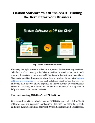 Custom Software vs. Off-the-Shelf - Finding the Best Fit for Your Business