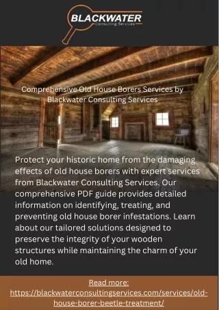 Comprehensive Old House Borers Services by Blackwater Consulting Services