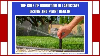 Efficient Irrigation Solutions for Gardens