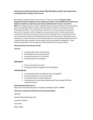 north america it services market
