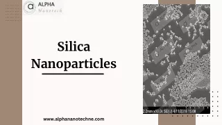 Silica Nanoparticles