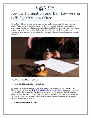 Civil Litigation and Bail Lawyers in Delhi