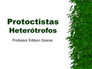 Protoctistas Heterótrofos