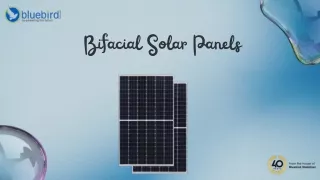 The Power of Bifacial Modules | Bluebird Solar