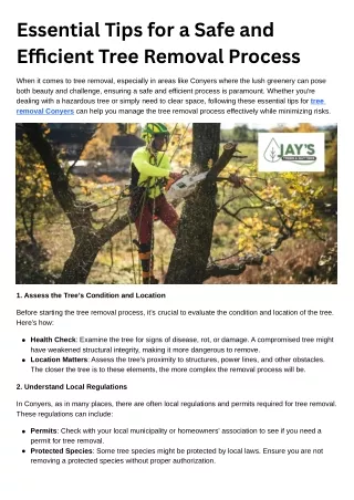 Essential Tips for a Safe and Efficient Tree Removal Process