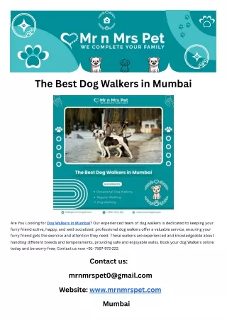 The Best Dog Walkers in Mumbai