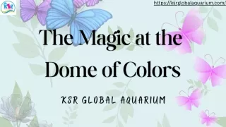 The Magic at the Dome of Colors | KSR Global Aquarium