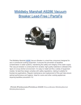 Middleby Marshall A9286 Vacuum Breaker Lead-Free _ PartsFe